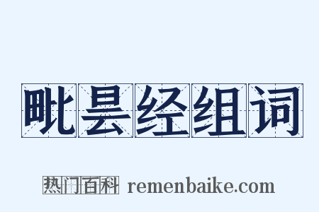 毗昙经组词是什么意思的图片